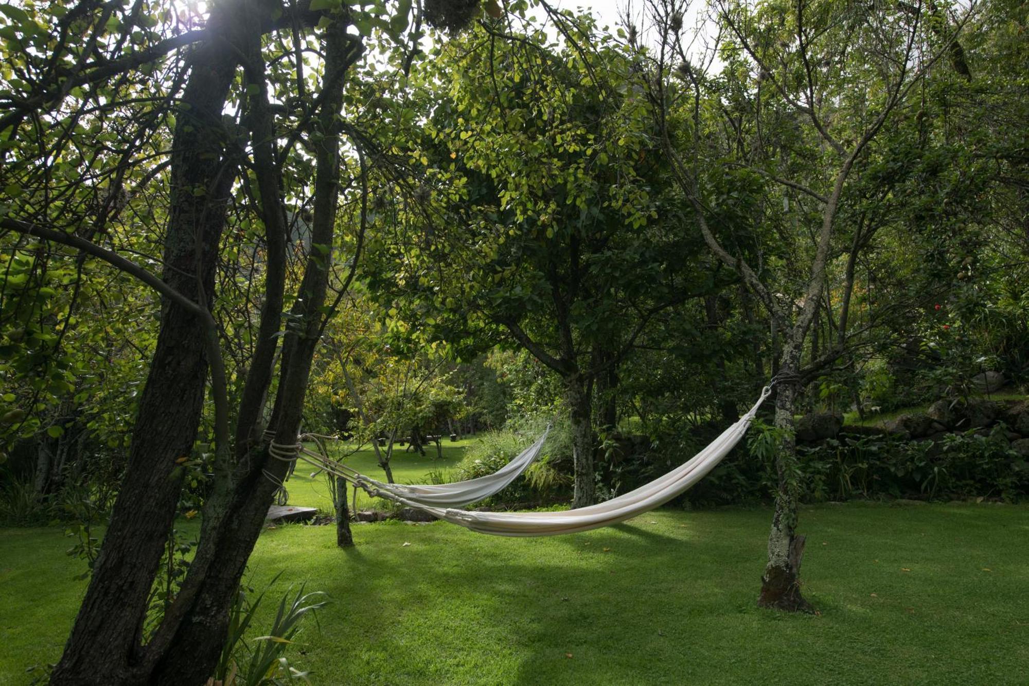 Andenia Boutique Hotel, Sacred Valley Urubamba Dış mekan fotoğraf