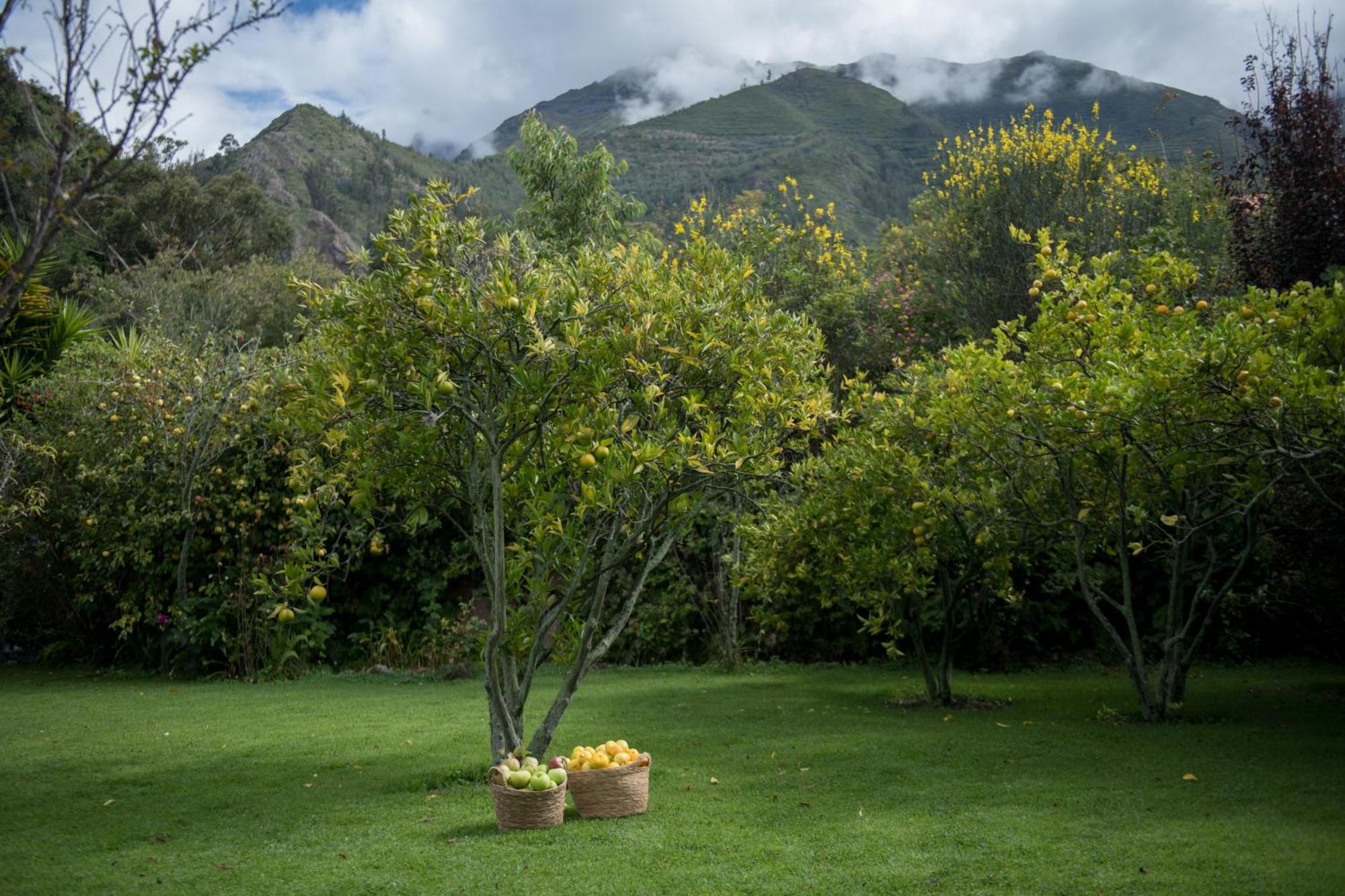 Andenia Boutique Hotel, Sacred Valley Urubamba Dış mekan fotoğraf