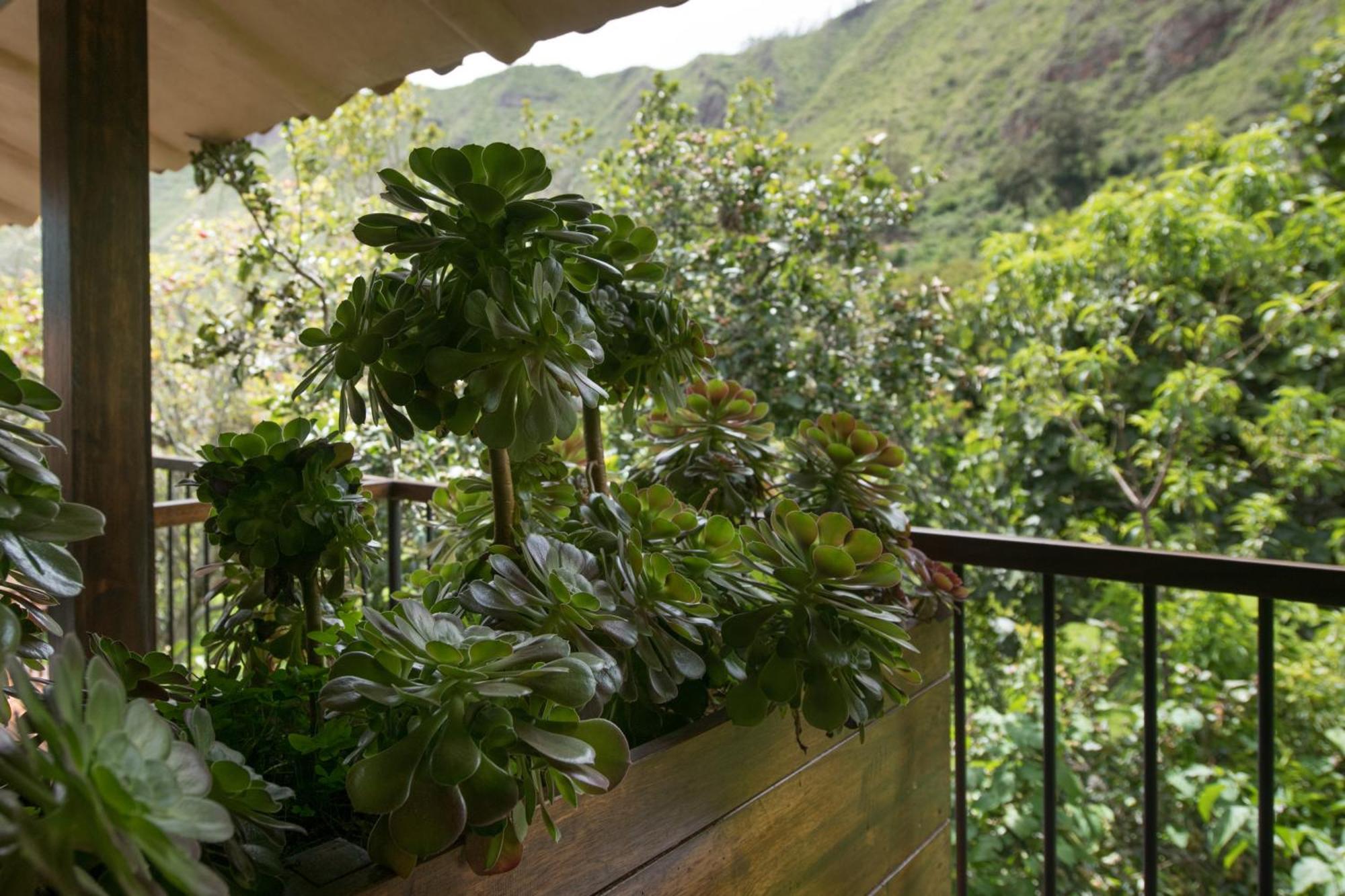 Andenia Boutique Hotel, Sacred Valley Urubamba Dış mekan fotoğraf
